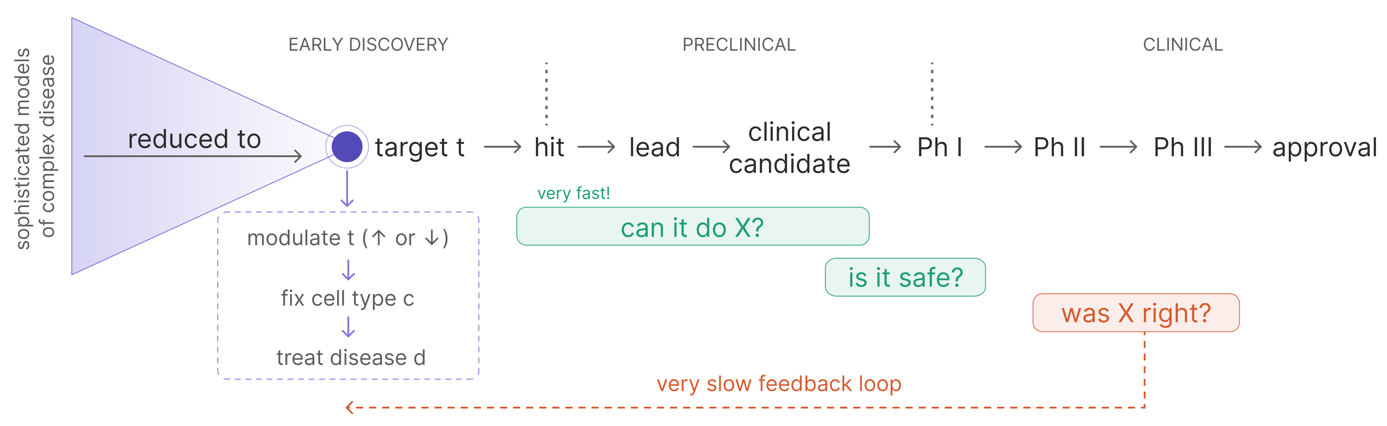 A large triangle labeled &lsquo;sophisticated models of complex disease&rsquo; narrows through a &lsquo;reduced to&rsquo; arrow into a single target t. From t, a syllogism branches downward: modulate t (up or down) &rarr; fix cell type c &rarr; treat disease d. To the right runs the development pipeline: target t &rarr; hit &rarr; lead &rarr; clinical candidate &rarr; Phase I &rarr; Phase II &rarr; Phase III &rarr; approval, marked &lsquo;very fast!&rsquo;. Callouts ask &lsquo;can it do X?&rsquo; and &lsquo;is it safe?&rsquo; early in the pipeline, while &lsquo;was X right?&rsquo; sits at the far clinical end, linked back to the start by a dashed &lsquo;very slow feedback loop&rsquo; arrow.